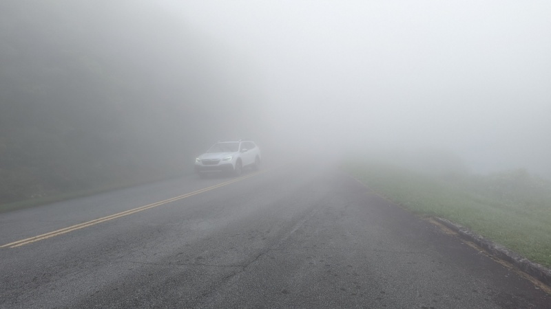 Thick Fog on the Blue Ridge Parkway