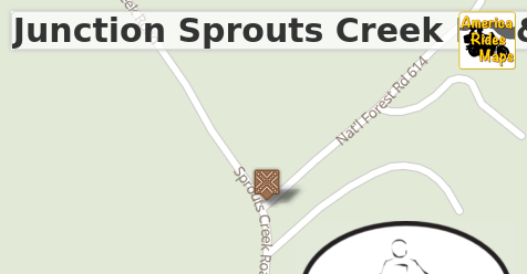 Junction Sprouts Creek Rd & FR 614