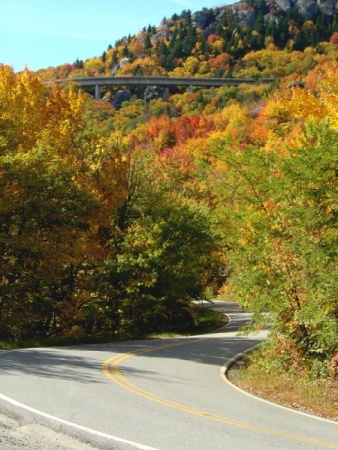 View up at the Linn Cove Viaduct from US 221