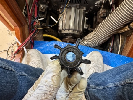 Yanmar 4JH-TE Impellor Replacement photos