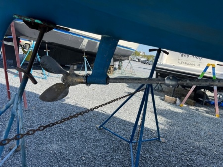 Shaft Shark and Zincs photos