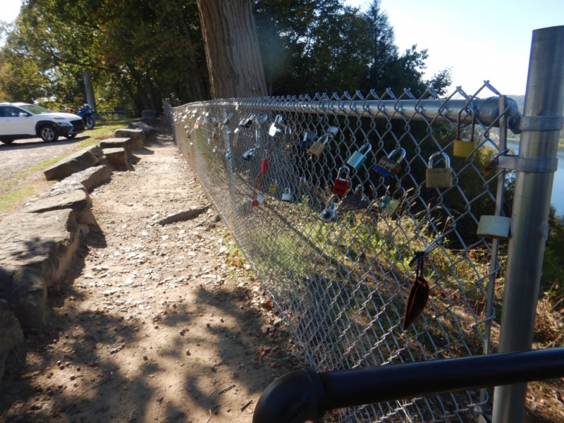 Padlocks on the fence