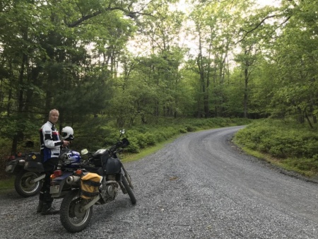 Deep in Michaux State Forest.