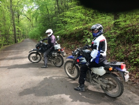 Frederick Municipal Watershed and Michaux State Forest Gravel Roads Day Ride