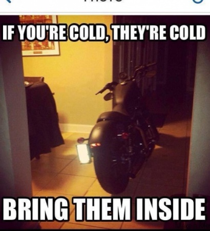 It's cold outside. Bring them inside.